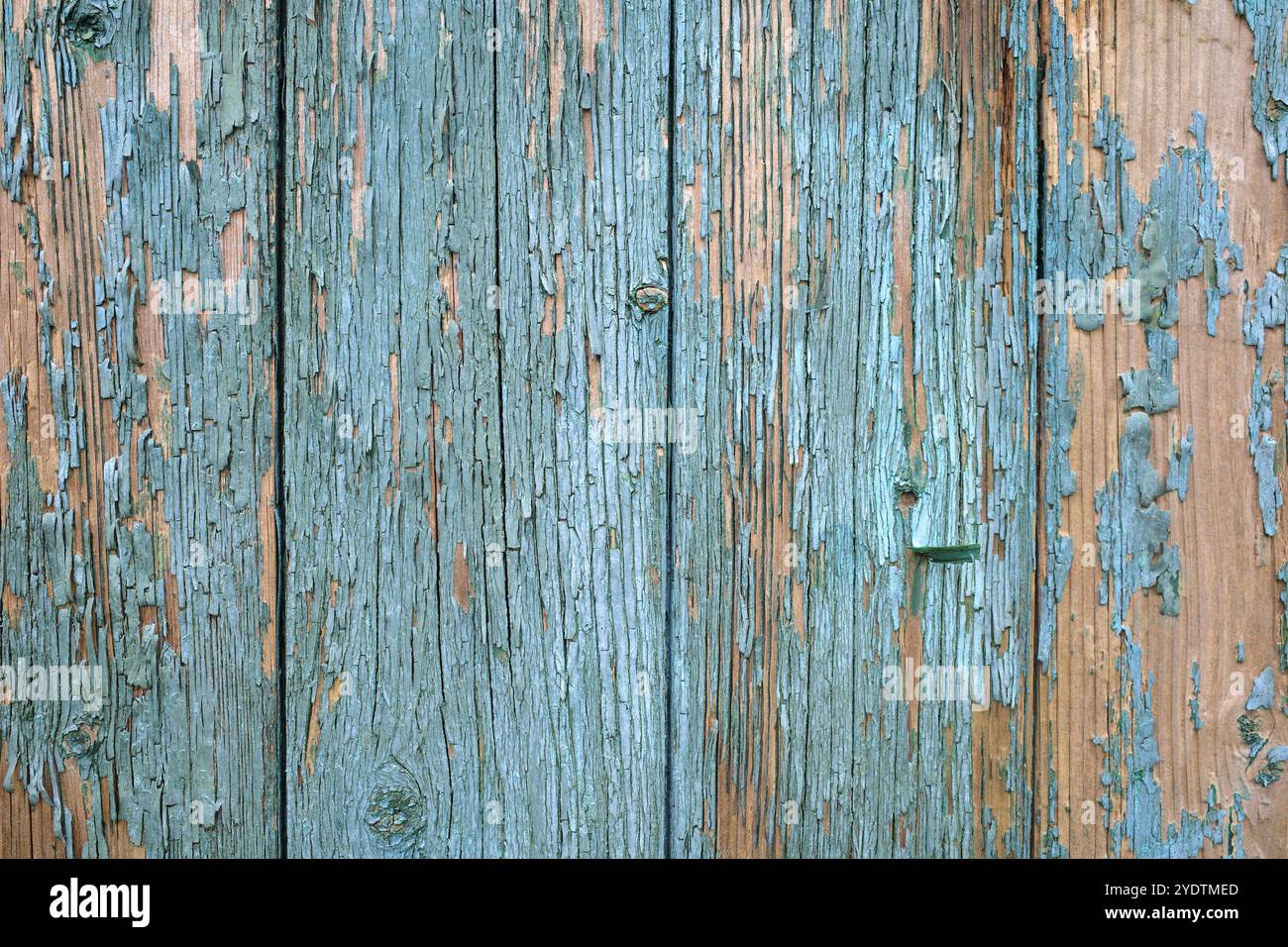 Tavole di legno con vernice blu chiaro sbucciante. Sfondo turchese chiaro Foto Stock
