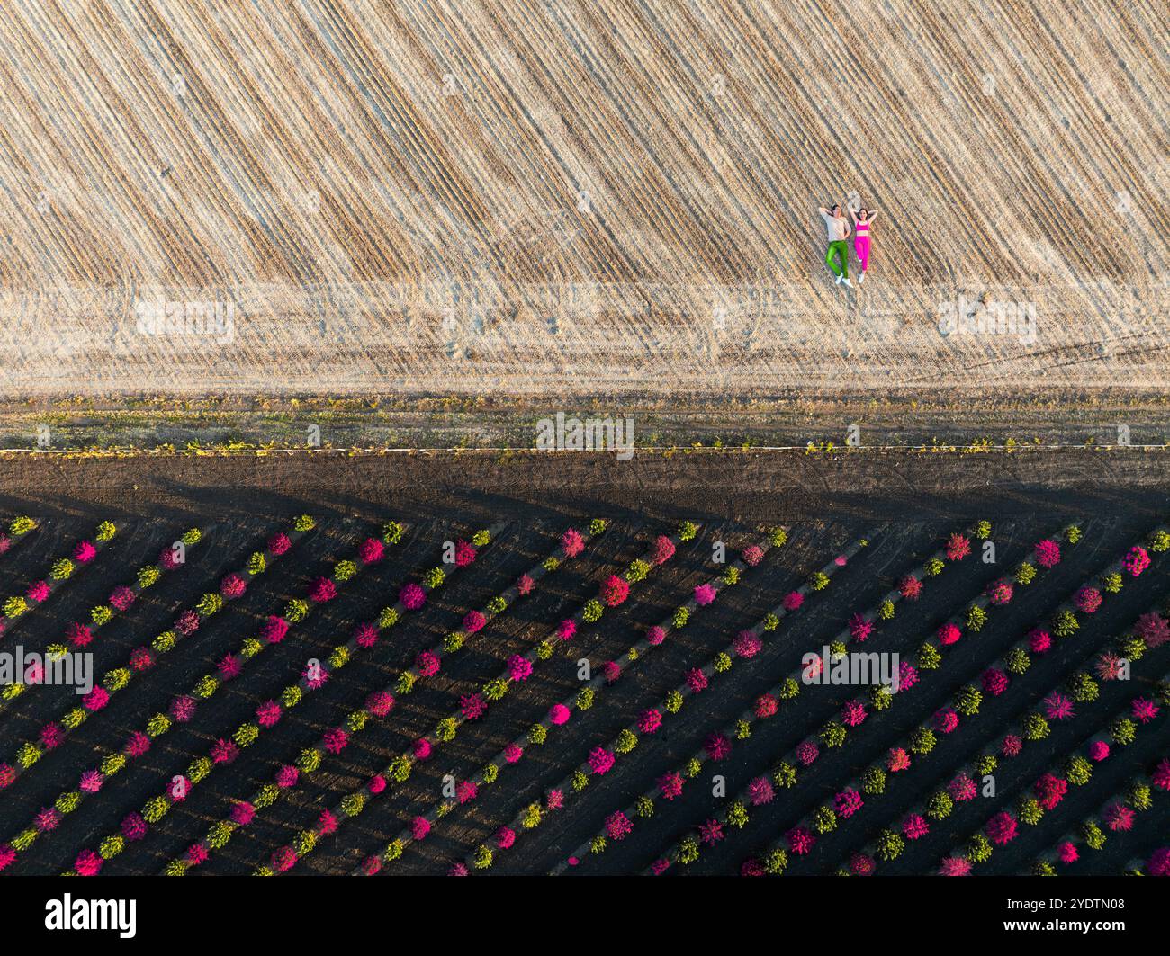 Immagine aerea di una coppia innamorata sdraiata in un bellissimo campo. Immagine creata combinando la fotografia e utilizzando l'intelligenza artificiale generativa Foto Stock