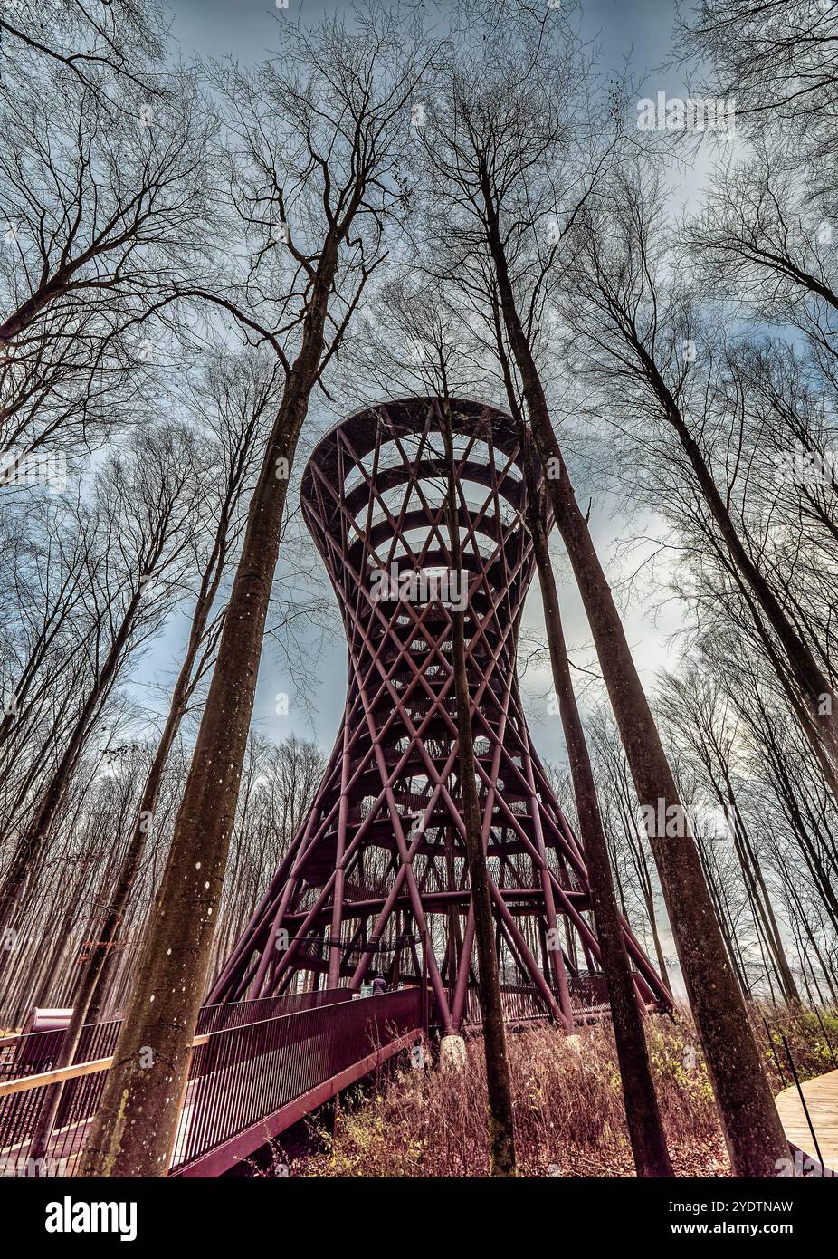 Una suggestiva torre di osservazione in legno a forma di spirale adagiata su un cielo blu limpido, circondata da alberi senza fronzoli. Cattura l'innovazione architettonica e Foto Stock