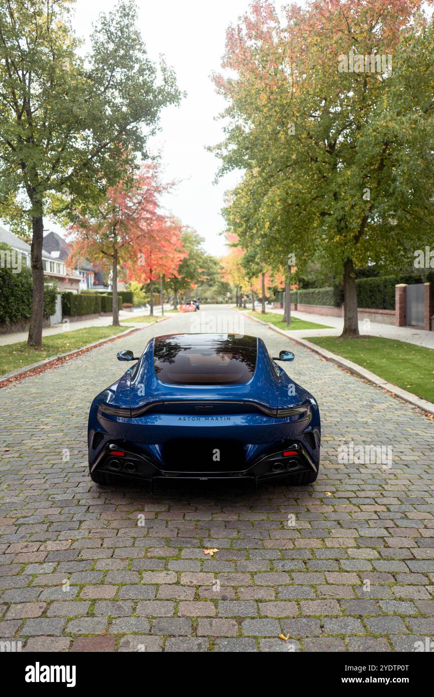 Aston Martin durante la stagione autunnale Foto Stock