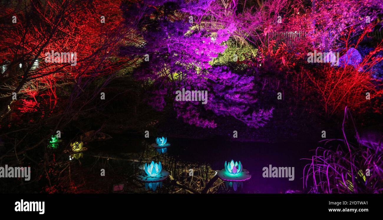 Giardino botanico con illuminazione notturna e installazioni temporanee di luce Foto Stock