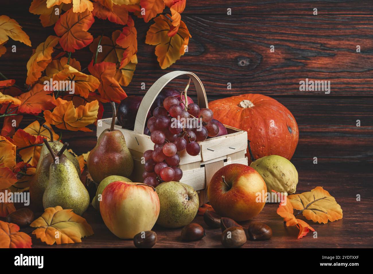 Un cesto di uva e prugne circondato da pere, mele, zucca, castagne e foglie autunnali Foto Stock