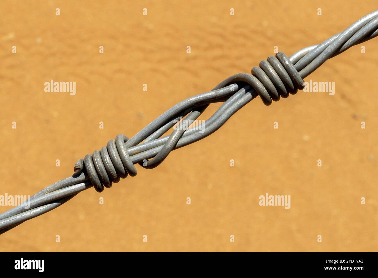 Recinzione in tessuto teso, filo, annodato, collegamento, stretto, artistico, intrecciato, Namibia, Africa Foto Stock