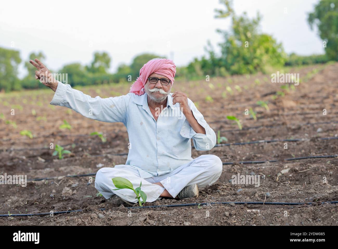 Vecchio agricoltore indiano, albero di banana bambino, cultura tissutale, vecchio agricoltore intelligente Foto Stock