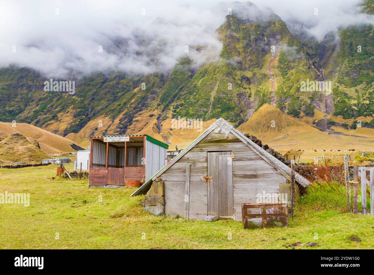 Vista della zona di patate a Tristan da Cunha, il luogo abitato più remoto della Terra, Tristan da Cunha, Oceano Atlantico meridionale Foto Stock