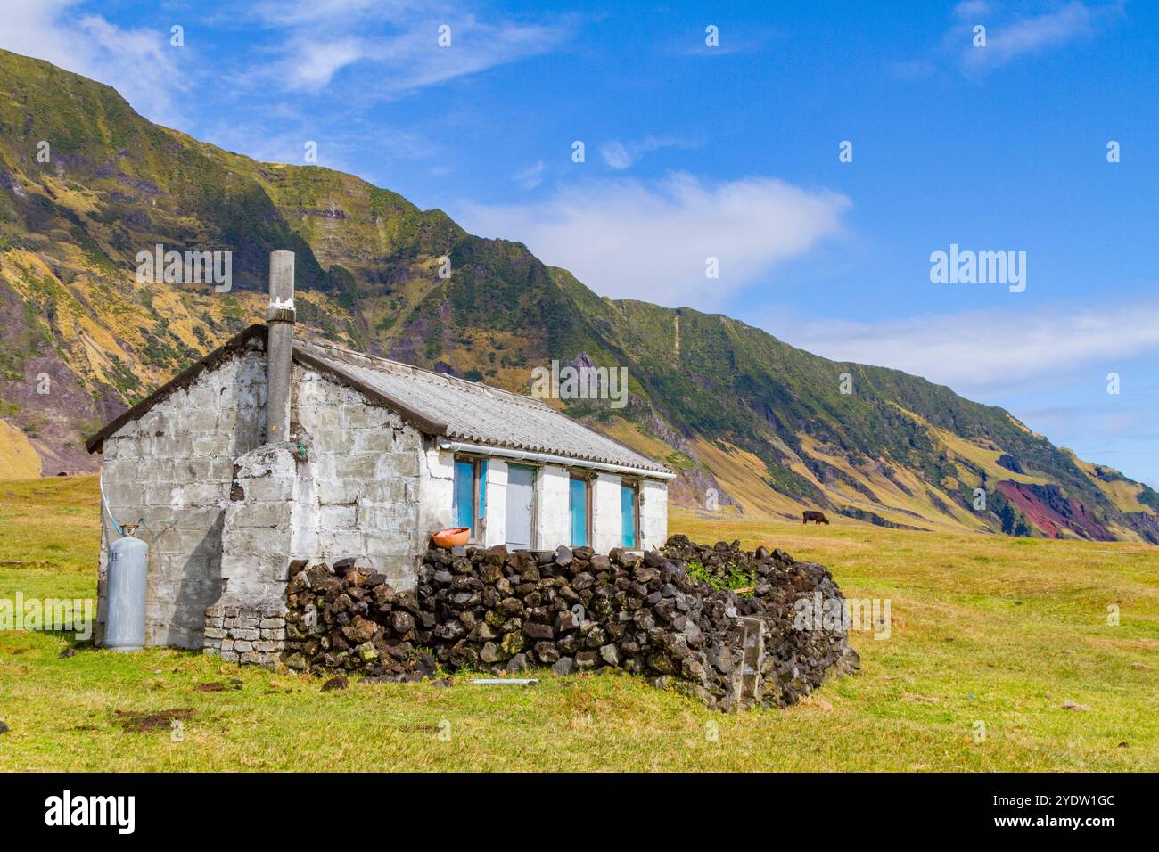 Vista della zona di patate a Tristan da Cunha, il luogo abitato più remoto della Terra, Tristan da Cunha, Oceano Atlantico meridionale Foto Stock