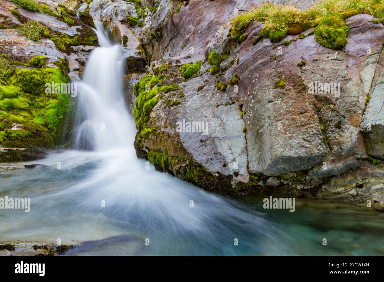 Vista di una cascata nella Baia fortuna sulla costa settentrionale della Georgia del Sud, dell'Oceano meridionale e delle regioni polari Foto Stock