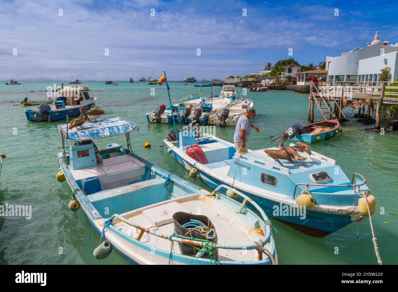 Scena di un pescatore in barca con pellicani nella città portuale di Puerto Ayora, l'isola di Santa Cruz, le isole Galapagos, patrimonio dell'umanità dell'UNESCO, Ecuador Foto Stock