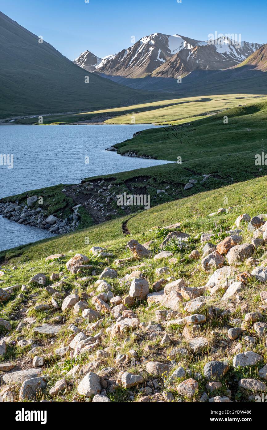 Il Lago del Monte Kol-Ukok all'alba e' circondato da verdi montagne sotto un cielo blu, Kirghizistan, Asia centrale, Asia Foto Stock