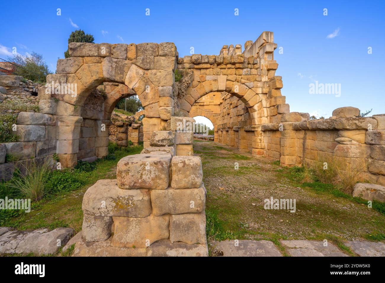 Porta ad arco dell'antica città greco-romana di Tindari, area archeologica di Tindari, Tindari, Patti, Messina, Sicilia, Italia, Mediterraneo, Europa Foto Stock