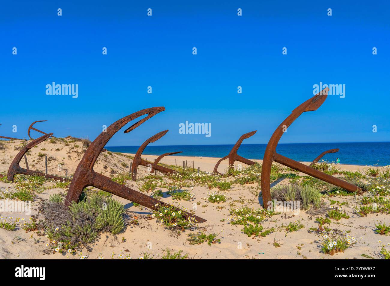 Il cimitero delle ancore, lungo la spiaggia di Barril, Tavira, Algarve, Portogallo, Europa Foto Stock