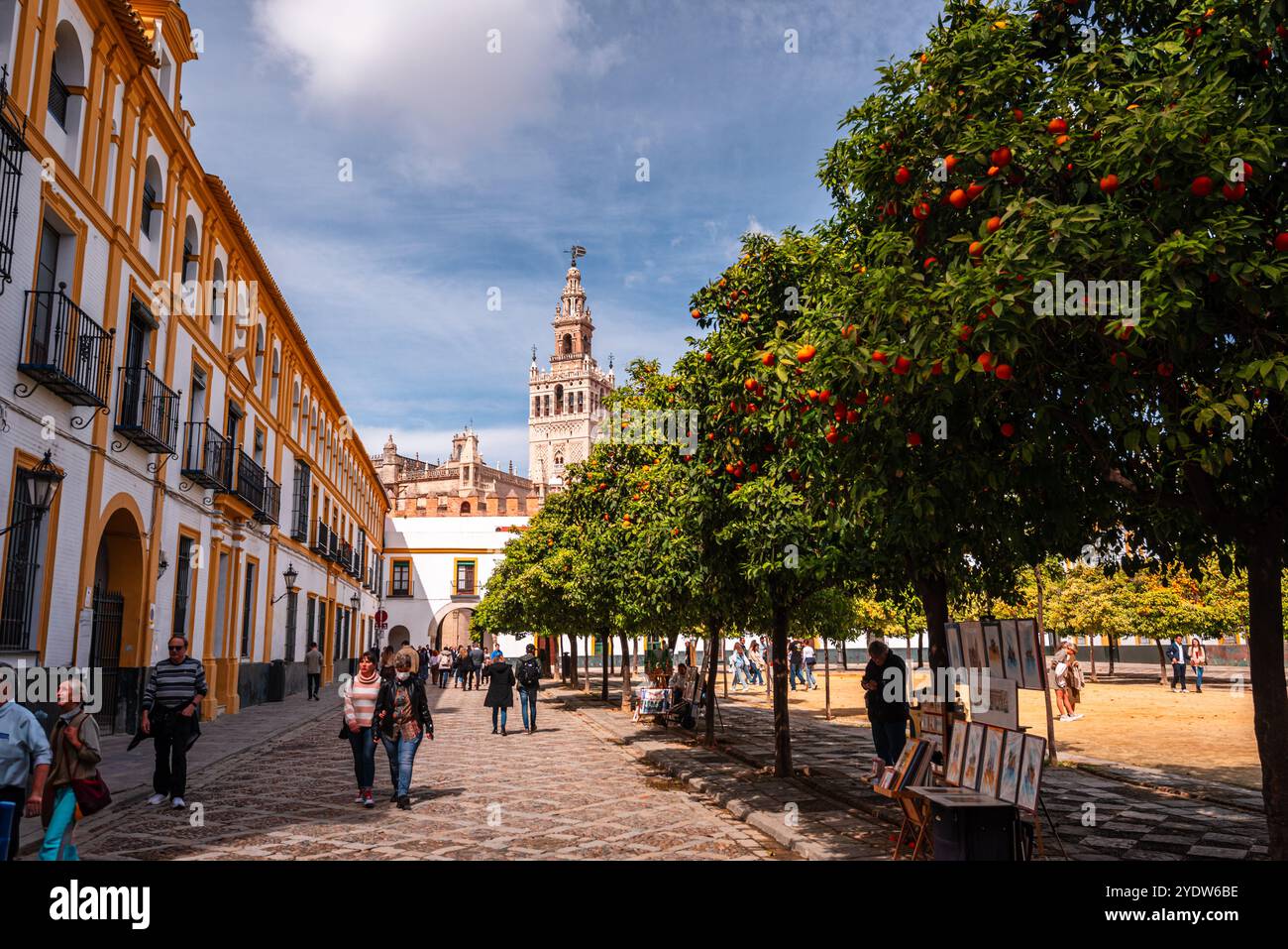 Alberi di arancio in un parco nel Patio de Banderas. Con la guglia cattedrale di Siviglia, Andalusia, Spagna, Europa Foto Stock