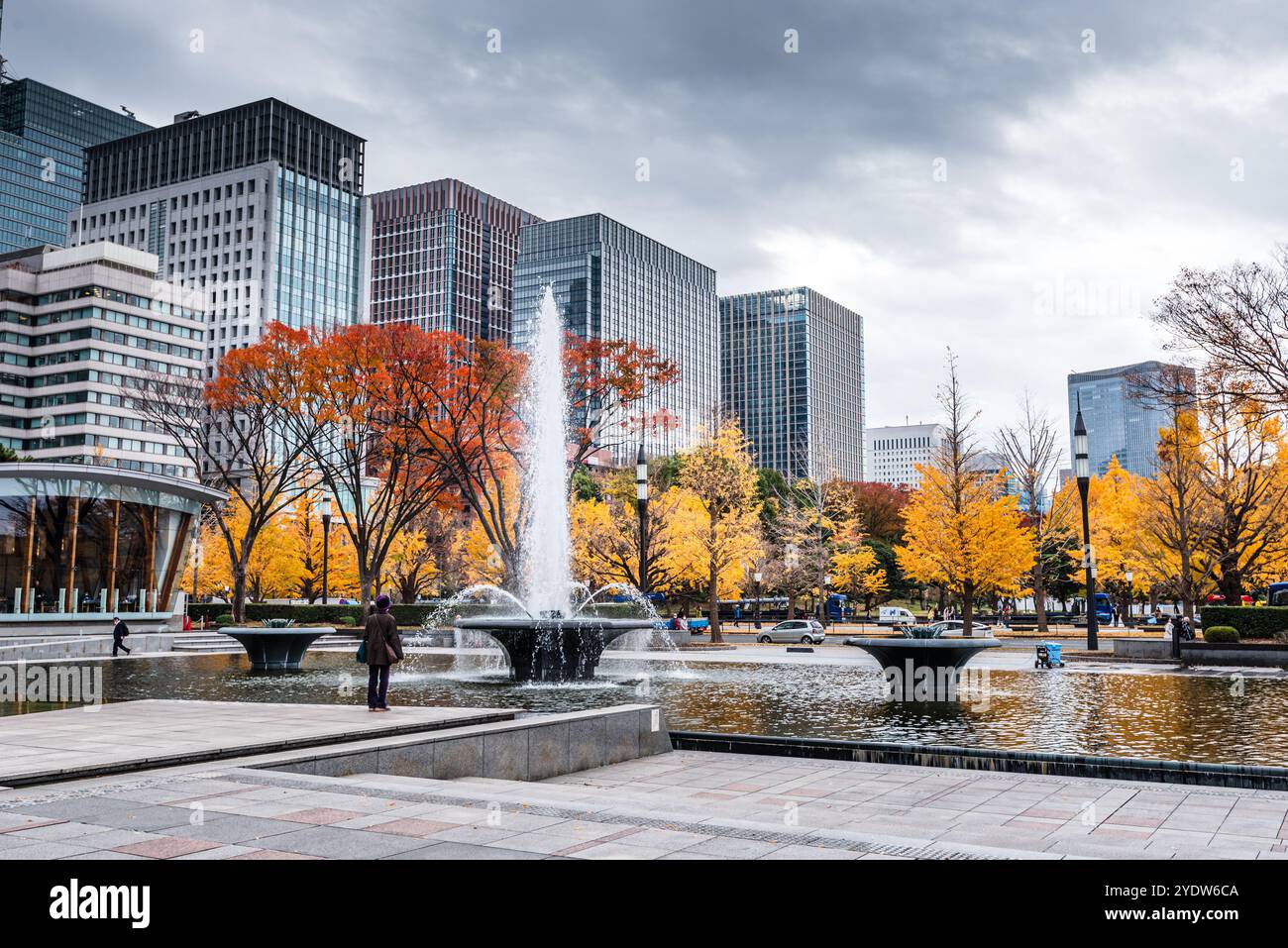 Fontana d'acqua a Koktogaien il giorno coperto con foglie gialle in autunno, Tokyo, Honshu, Giappone, Asia Foto Stock
