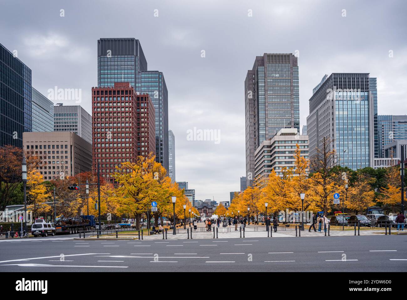 Foglie autunnali e grattacieli del centro di Tokyo, Honshu, Giappone, Asia Foto Stock