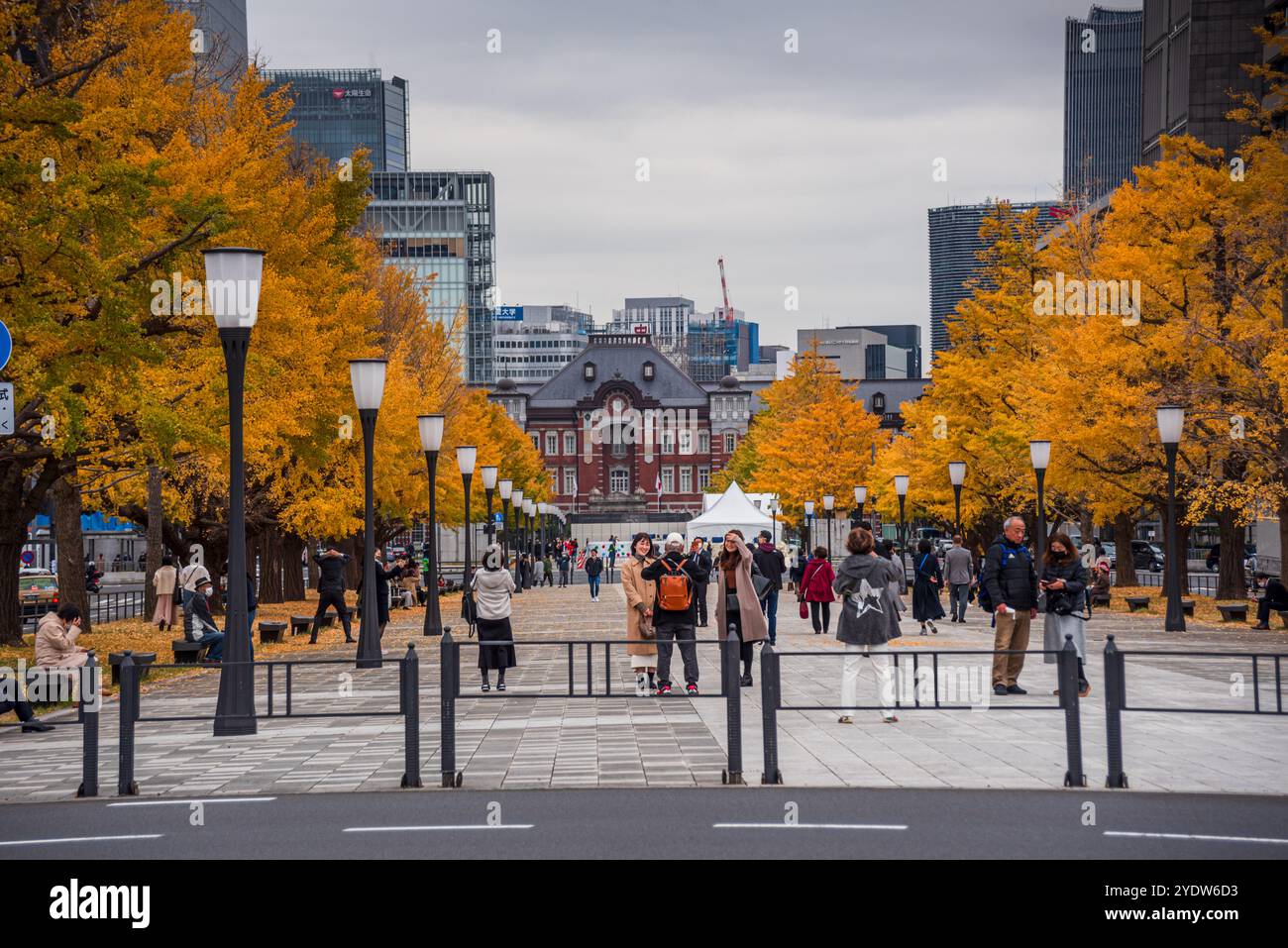 Stazione centrale di Tokyo, lanterne, alberi gialli di ginkgo, foglie autunnali e grattacieli del centro di Tokyo, Honshu, Giappone, Asia Foto Stock