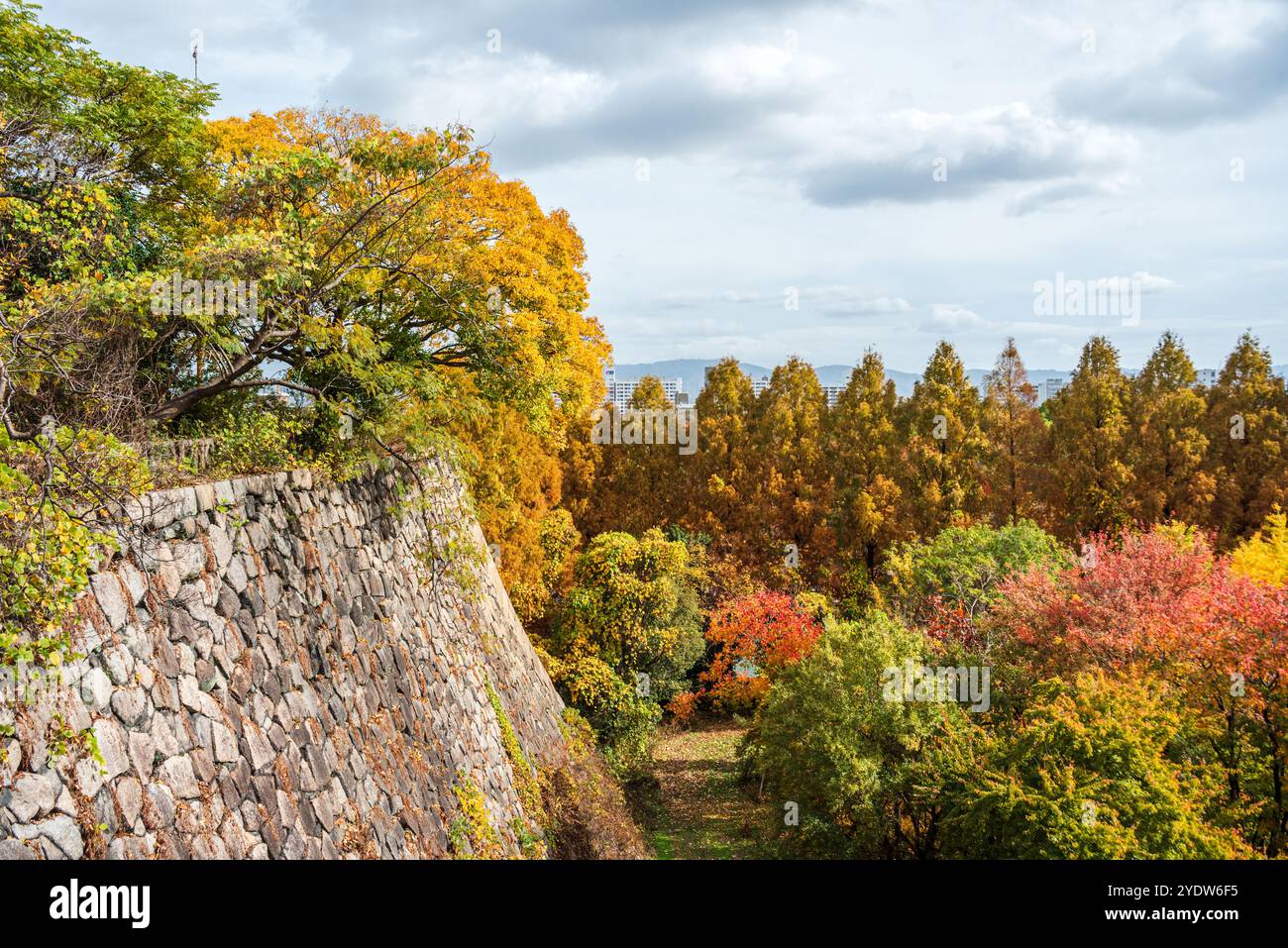 Mura di fossato del castello di Osaka e colori autunnali negli alberi, Osaka, Honshu, Giappone, Asia Foto Stock