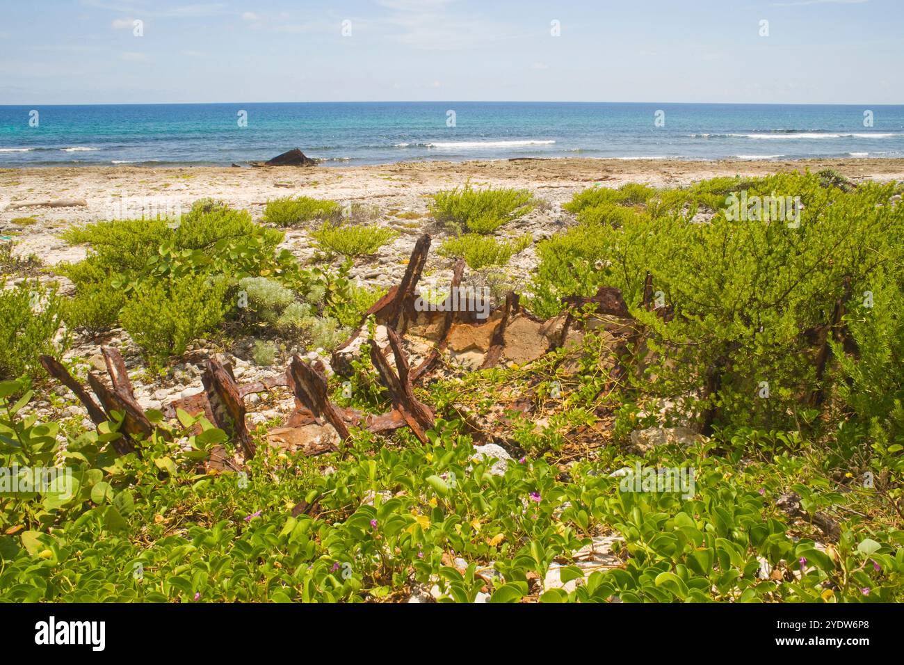 Playa la barca, Cabo San Antonio, Parco Nazionale della Penisola di Guanahacabibes e riserva della Biosfera, Pinar del Rio, Cuba, Indie occidentali, Caraibi Foto Stock