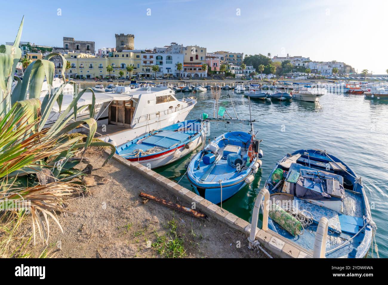 Veduta di Marina e del Museo del Castello di Torrione, Forio, Isola d'Ischia, Campania, Italia, Europa Foto Stock