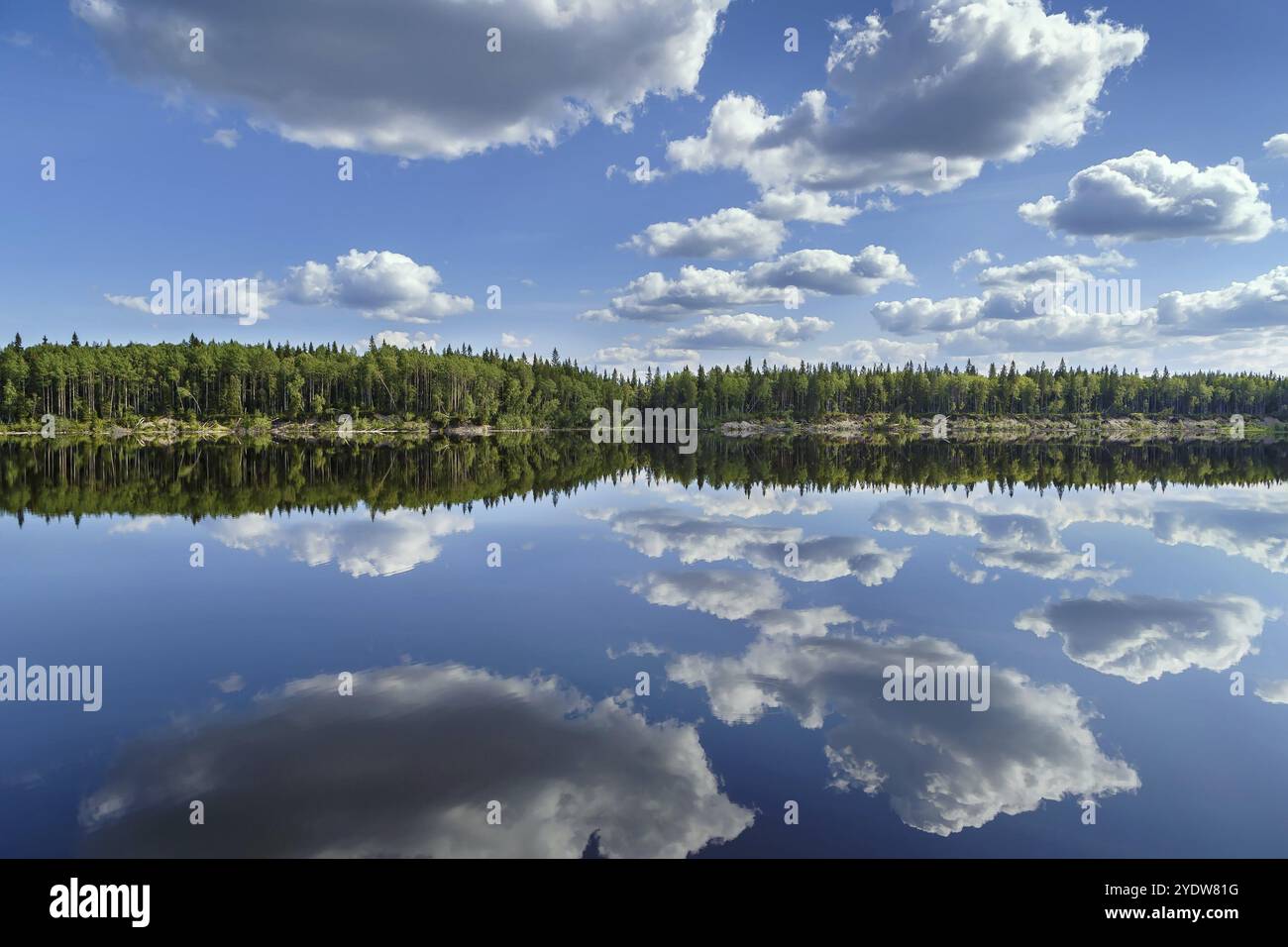 Paesaggio con una riflessione simmetrica sul fiume Vyg (parte del canale Mar bianco-Baltico), Russia, Europa Foto Stock