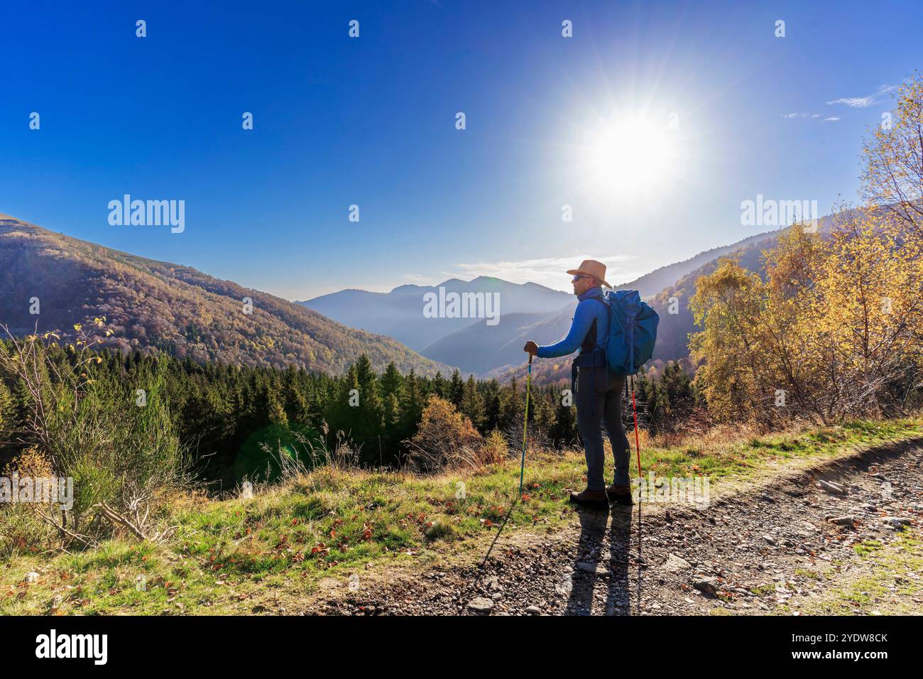 Oasi Zegna, biella, Piemonte, Italia, Europa Foto Stock