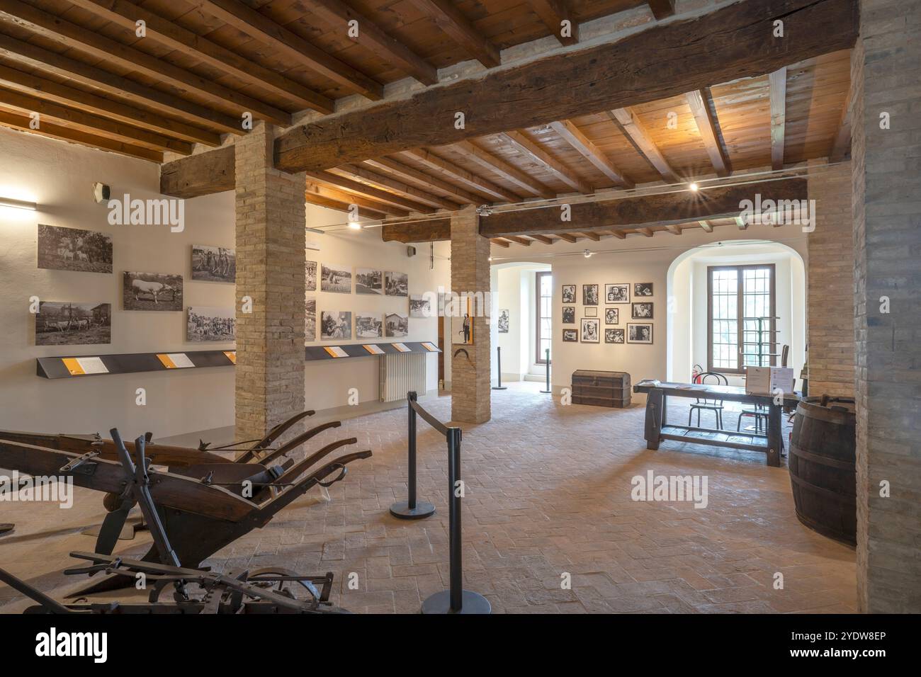 Giuseppe Simononini fotografo, Museo Rosso Graspa, Castello di Levizzano Rangone, Levizzano, Castelvetro di Modena, Modena, Emilia-Romagna, Italia Foto Stock