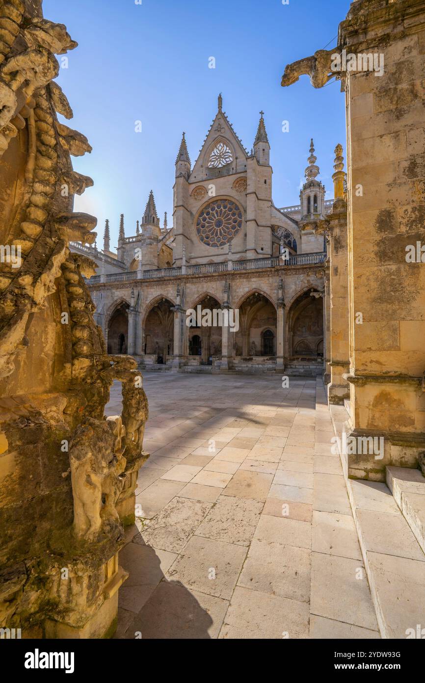 Cattedrale di Santa MarAdz, Leon, Castiglia e León, Spagna, Europa Foto Stock