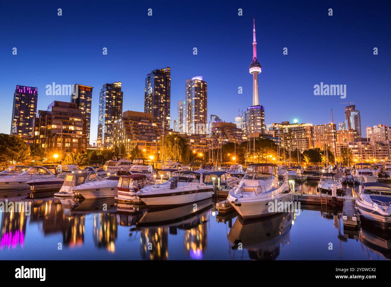 Skyline di Toronto, Ontario Canada, dalla vista del porticciolo di notte Foto Stock
