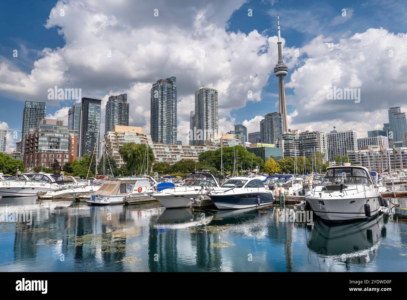 Skyline di Toronto, Ontario Canada, dalla vista del porticciolo Foto Stock