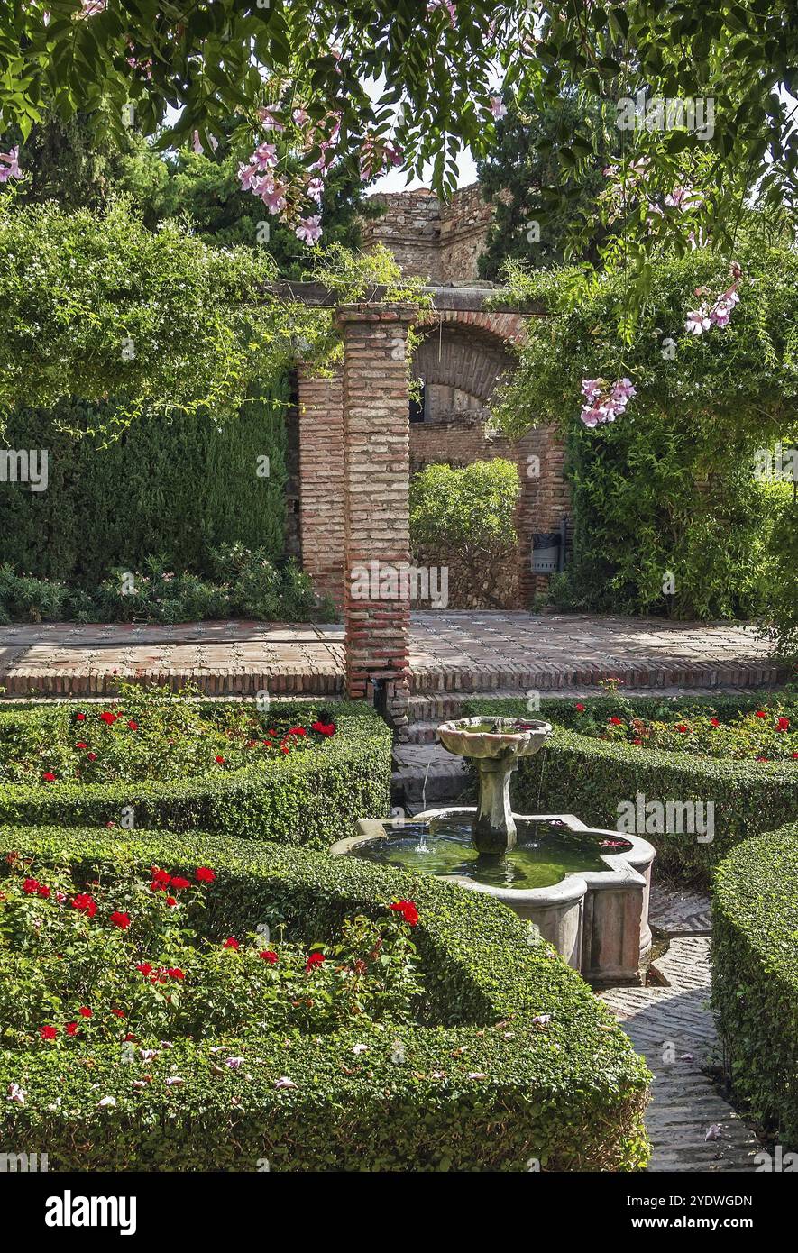 L'Alcazaba è una fortificazione sontuosa situata a Malaga, in Spagna. Giardino interno Foto Stock
