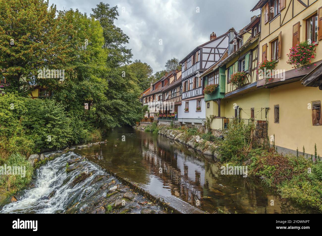 Case storiche sull'argine del fiume Weiss a Kaysersberg, Alsazia, Francia, Europa Foto Stock