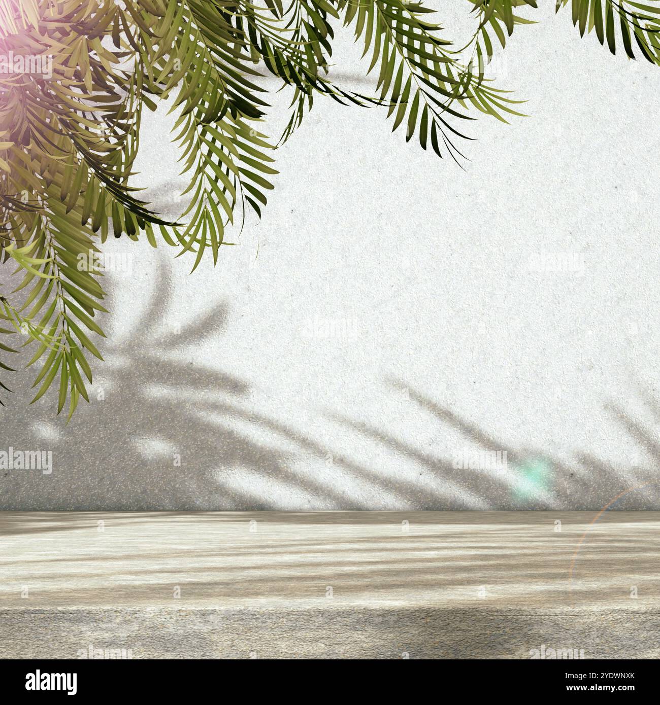 Pavimento vuoto e sfondo della parete illuminati dalla luce solare e dalle ombre delle piante.illustrazione 3d.sfondo per prodotti cosmetici organici e naturali presenti. Foto Stock