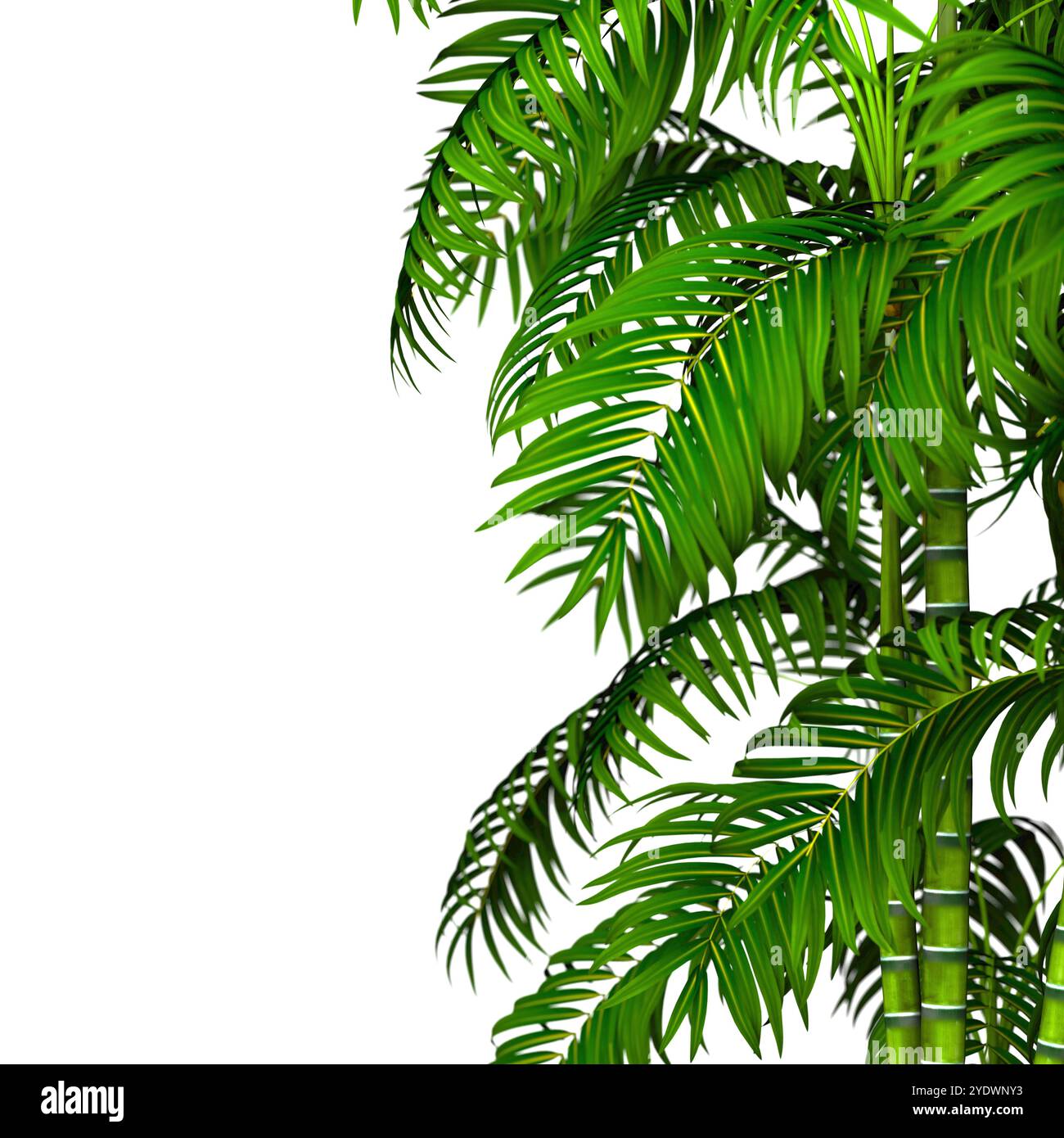 Sfondo di piante e cespugli su sfondo bianco.foglie e tronchi di bambù.natura isolata su bianco.illustrazione 3d. Foto Stock