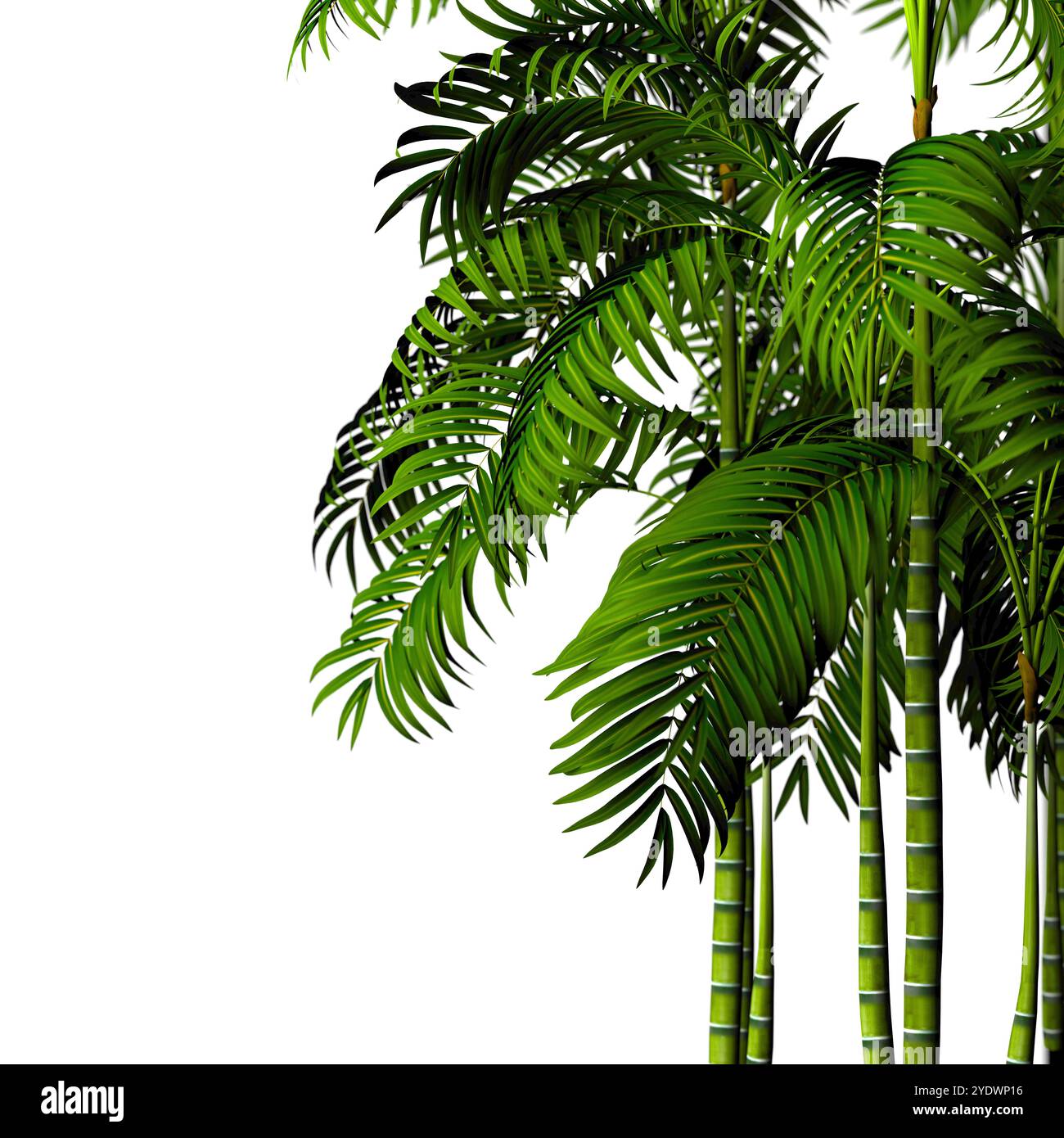 Sfondo di piante e cespugli su sfondo bianco.foglie e tronchi di bambù.natura isolata su bianco.illustrazione 3d. Foto Stock