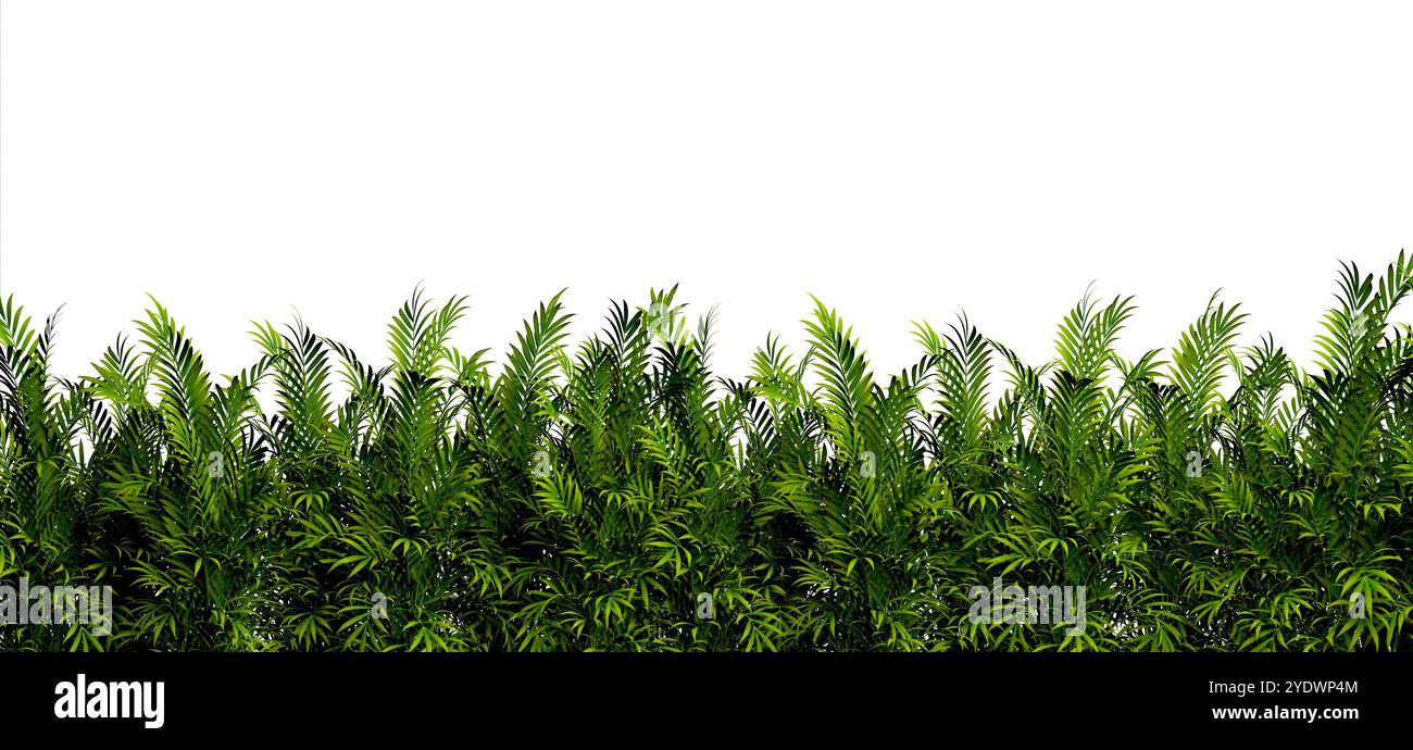 Sfondo di piante e cespugli su sfondo bianco.foglie e tronchi di bambù.natura isolata su bianco.illustrazione 3d. Foto Stock