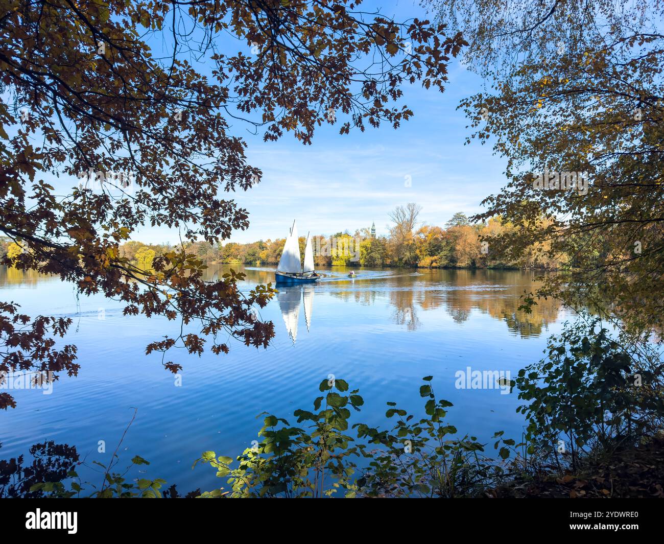Autunno nel parco Schwanenteich, Zwickau, Germania Est Foto Stock
