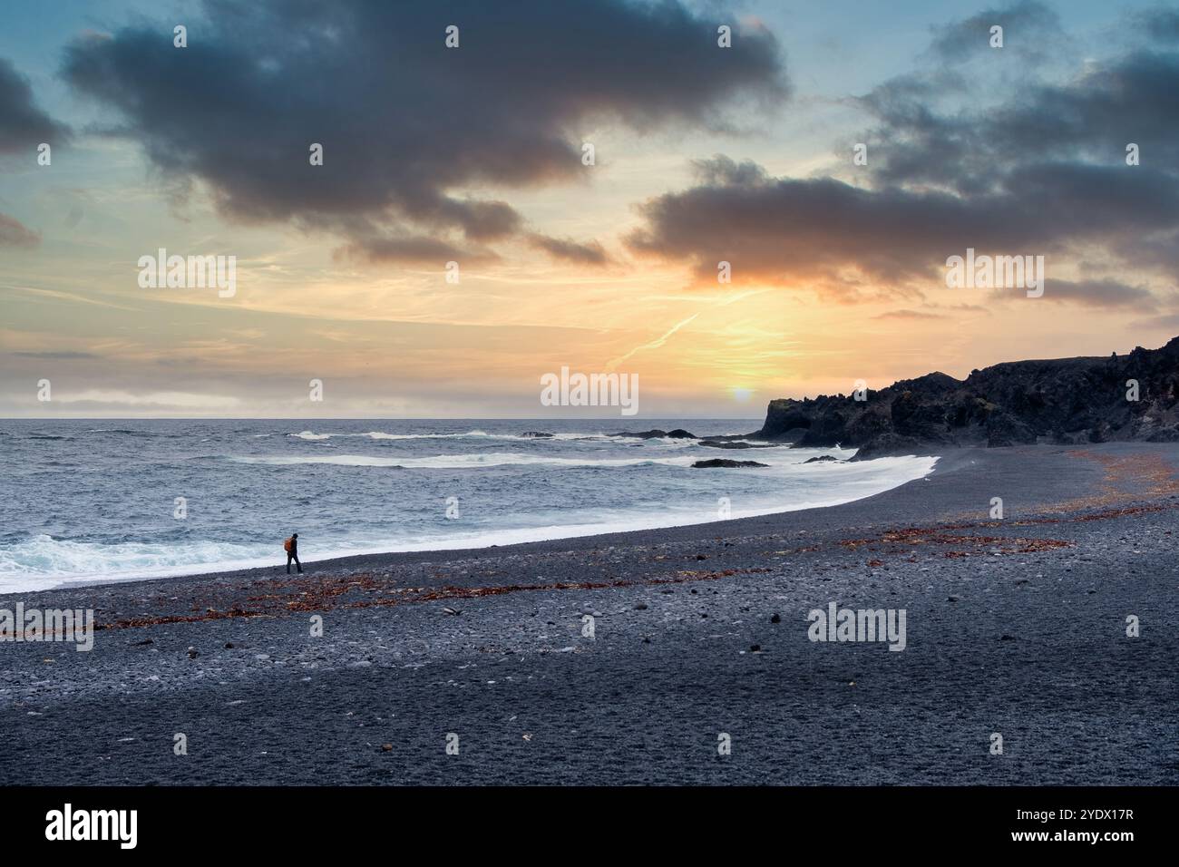 Vista distante di una persona che cammina su una spiaggia di ciottoli neri, la penisola di Reykjanes, Islanda Foto Stock