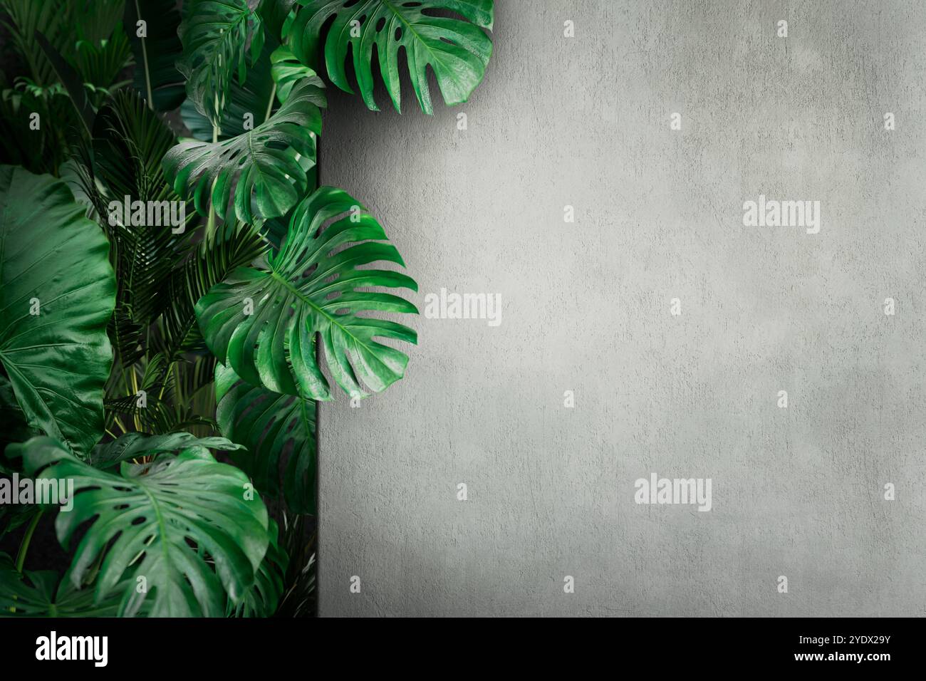 Foglie di palma tropicale su fondo rustico vuoto. Giardino della giungla dietro le pareti interne in cemento. Foto Stock