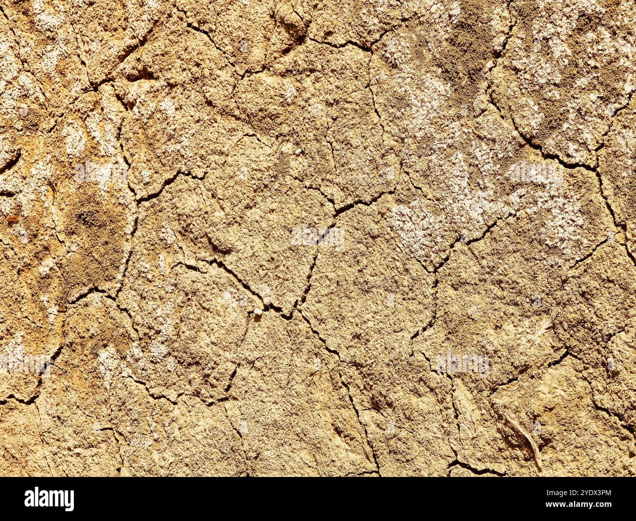Sfondo di terra asciutto e incrinato. Il fondo secco del lago durante la stagione secca in Africa. Foto Stock