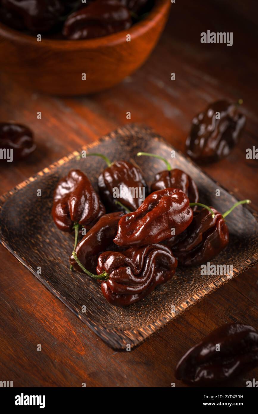 Peperoni habanero al cioccolato pronti per aggiungere spezie e sapori a qualsiasi piatto Foto Stock