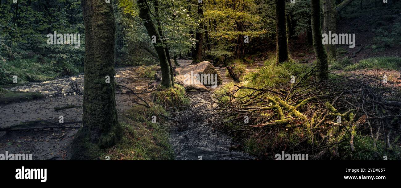Cascate di Golitha. Un'immagine panoramica del fiume Fowey che scorre attraverso l'antico bosco di Draynes Wood sul Bodmin Moor in Cornovaglia nel Regno Unito. Foto Stock