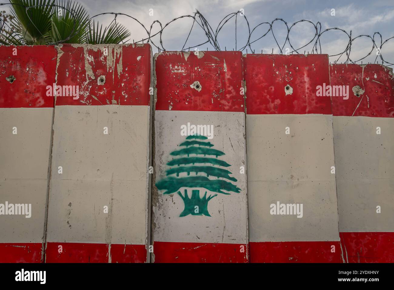 L'immagine della bandiera del Libano sulla recinzione in cemento con filo spinato, nella regione del conflitto del Medio Oriente, nella città libanese di Beirut. Foto Stock