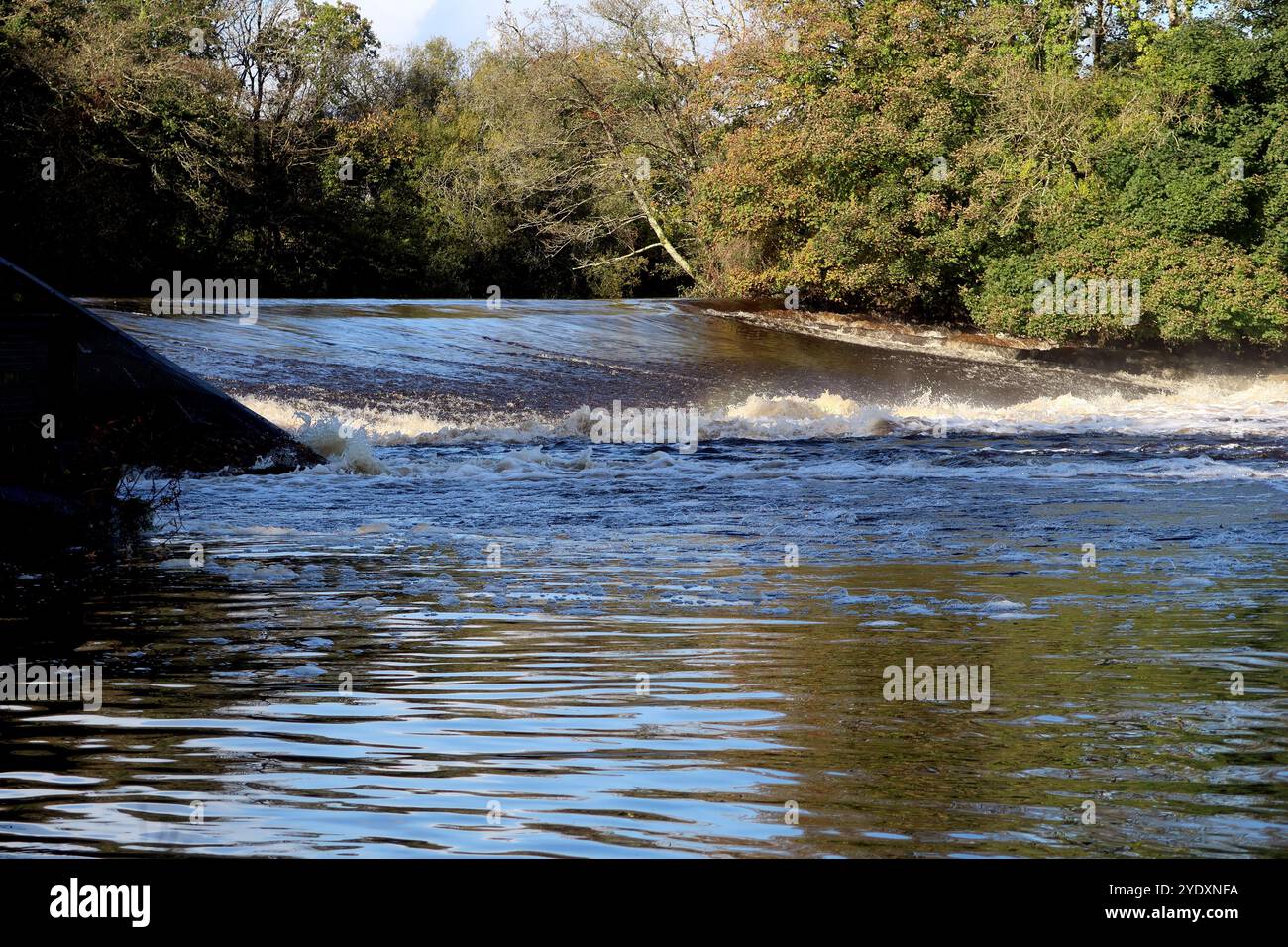 Schiuma e acqua turbolenta sul fiume Dart weir a Totnes, nel Devon meridionale, dopo forti piogge. Foto Stock