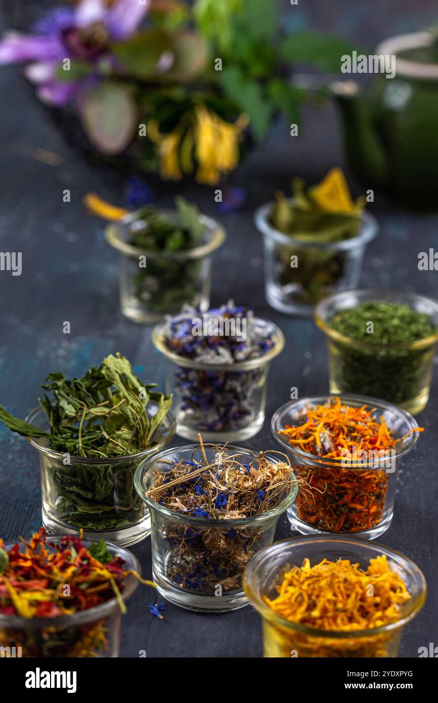 Piante medicinali essiccate e fiori con un mortaio ripieno di piante e una teiera sul fondo. Posa per infusione con pannello di piante medicinali 016357 00 Foto Stock