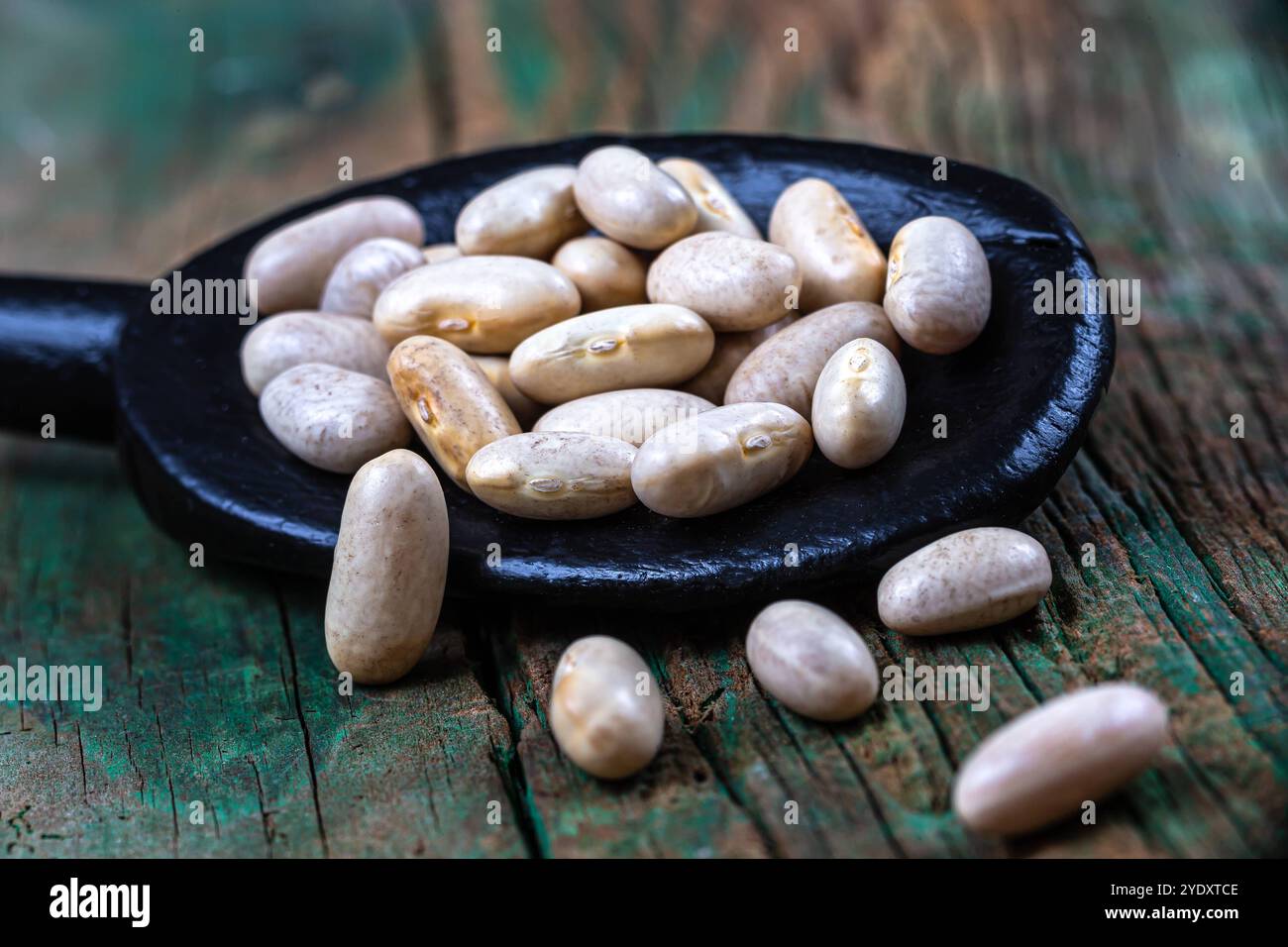 Primi piani di fagioli in un cucchiaio di legno. Fagioli - benefici per la salute, contenuto proteico 016384 030 Foto Stock
