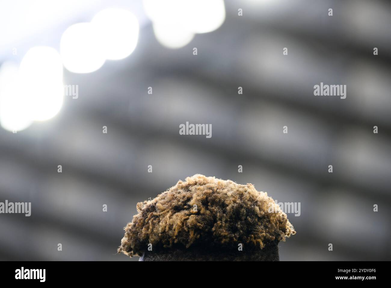 I capelli di Fisayo Dele-Bashiru visti durante la partita di calcio di serie A tra SS Lazio e Genoa CFC allo stadio Olimpico di Roma (Italia), 27 ottobre 2024. Foto Stock