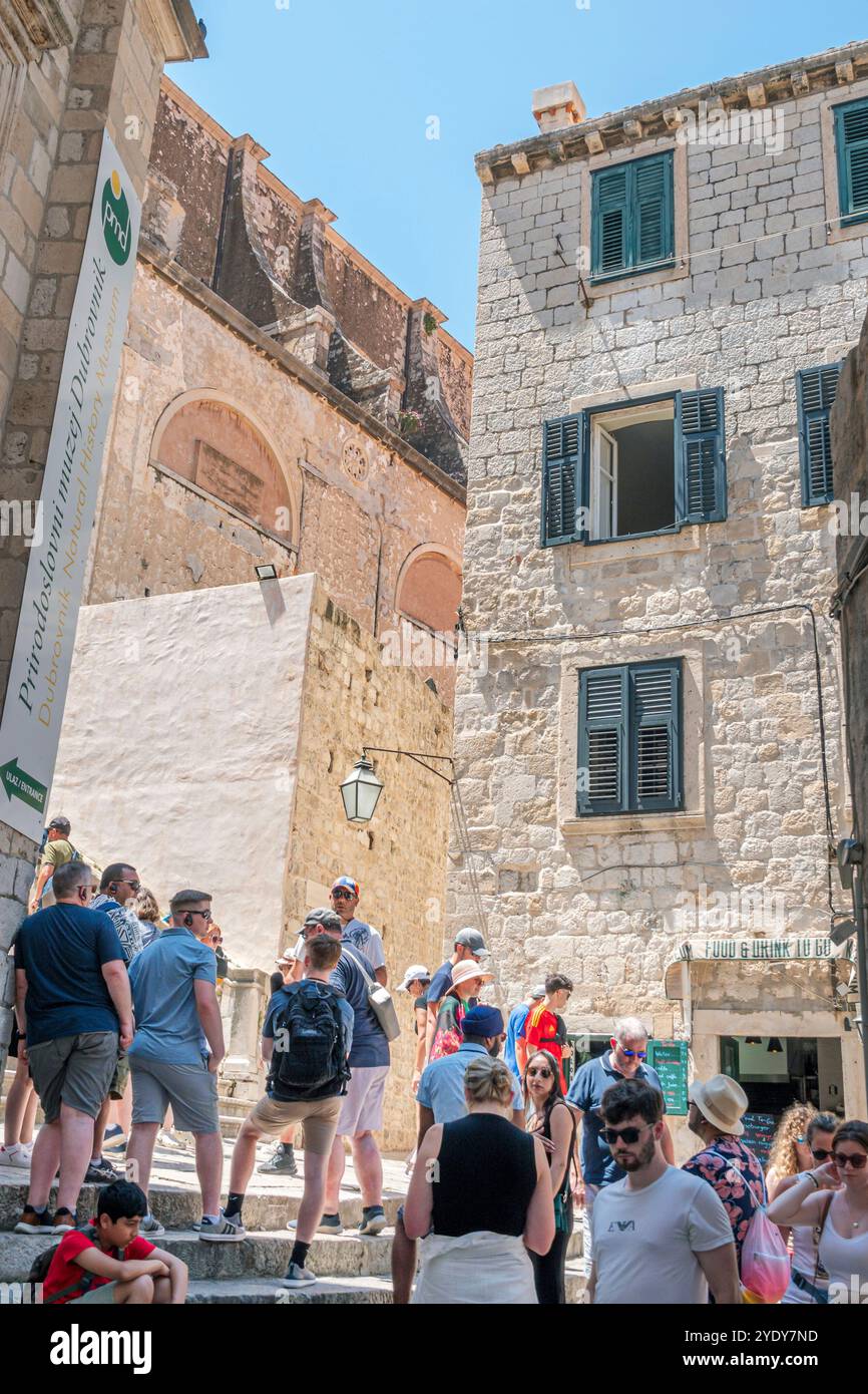 Dubrovnik Croazia, città Vecchia di Stari Grad, città fortificata di Ragusa, vicino al Museo di storia naturale di Dubrovnik Prirodoslovni muzej Dubrovnik, visitatori turisti, all'esterno Foto Stock