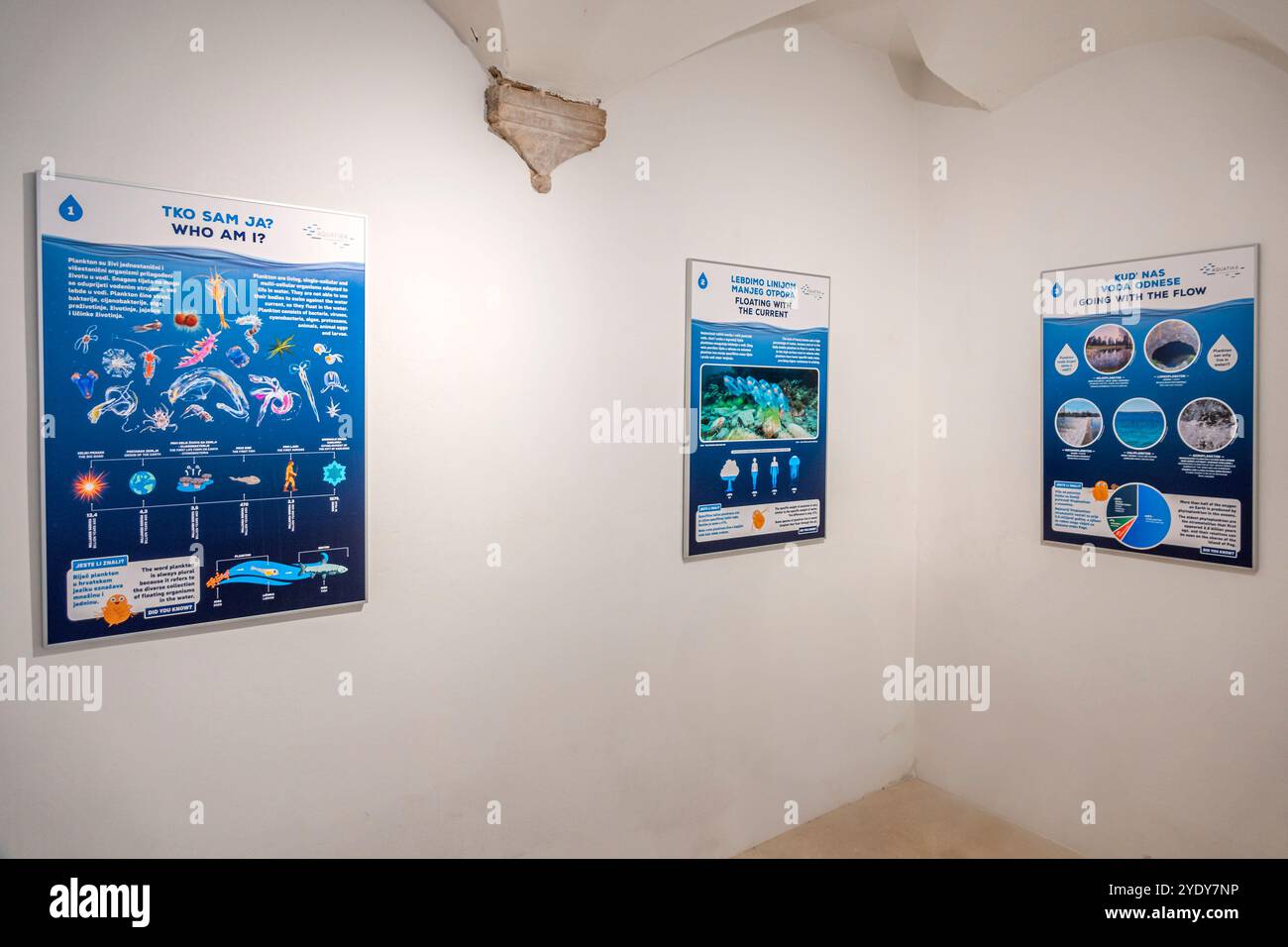 Dubrovnik Croazia, città Vecchia di Stari Grad, città fortificata di Ragusa, Museo di storia naturale di Dubrovnik Prirodoslovni muzej Dubrovnik, interno, cartello all'interno Foto Stock