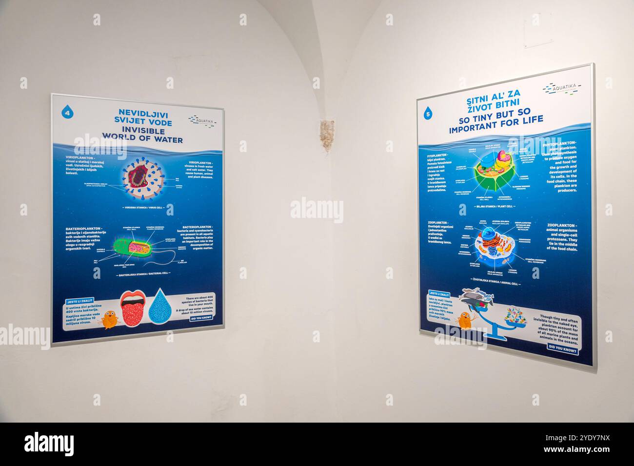 Dubrovnik Croazia, città Vecchia di Stari Grad, città fortificata di Ragusa, Museo di storia naturale di Dubrovnik Prirodoslovni muzej Dubrovnik, interno, cartello all'interno Foto Stock