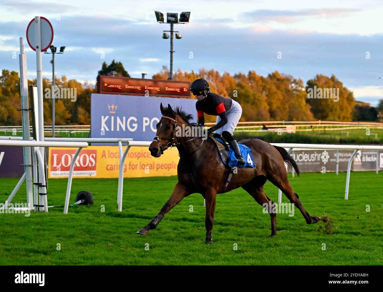 Leicester, Regno Unito, 28/10/2024, Marching Mac guidato da Grace McEntee vince il 4,25 al Leicester Racecourse, Leicester Picture di Paul Blake/Alamy Sports News Foto Stock