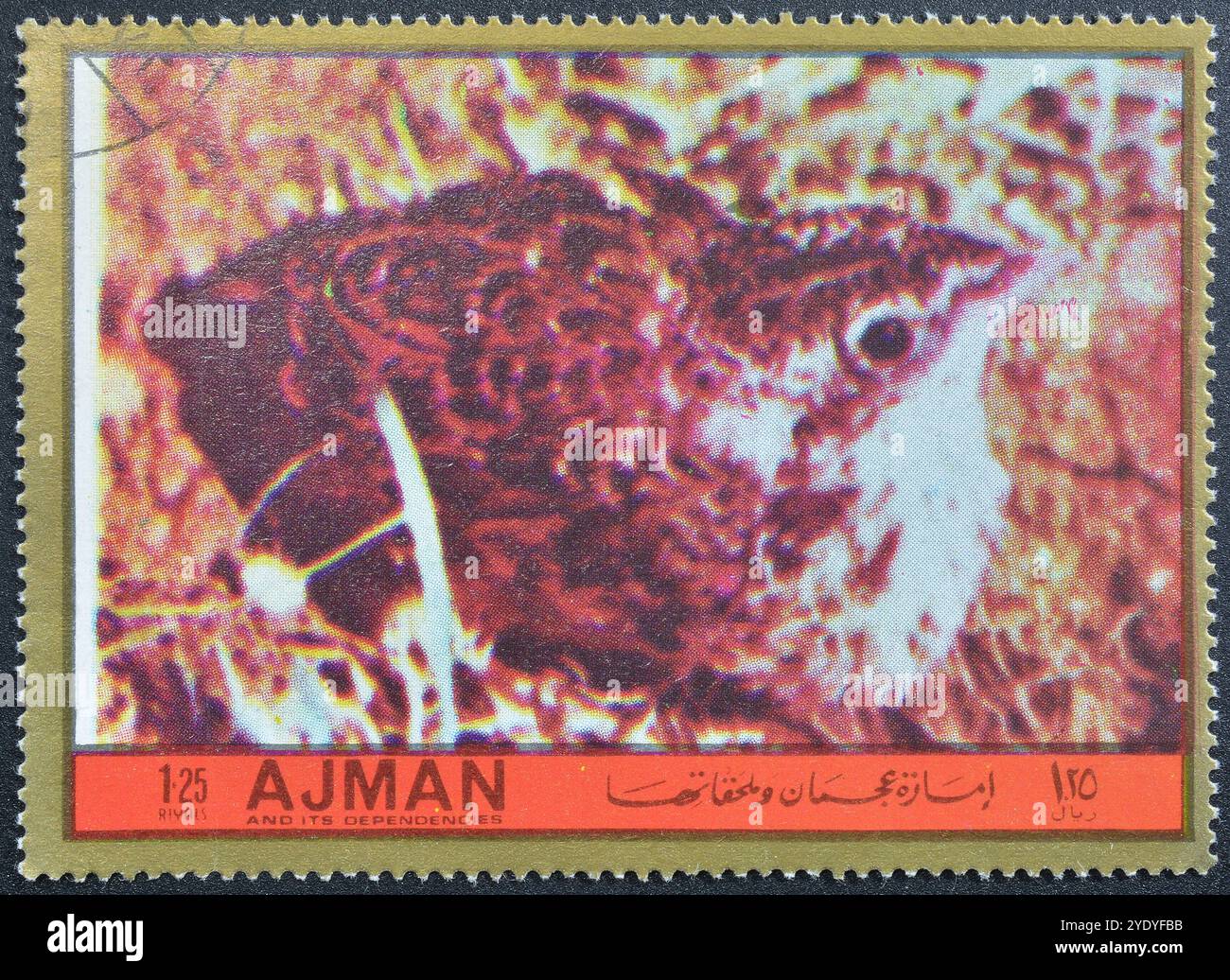 Francobollo cancellato stampato da Ajman, che mostra Bird, circa 1972. Foto Stock